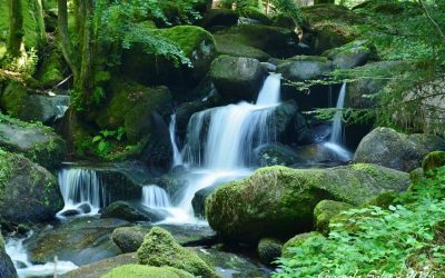 Energie, photographie et Etres de la Nature