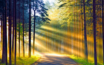 Quelle est ma mission de vie ?