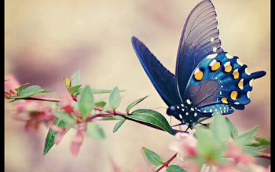 Mon idée de la Liberté