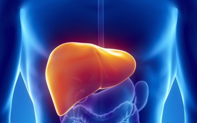 Soin collectif du 21 octobre 2018