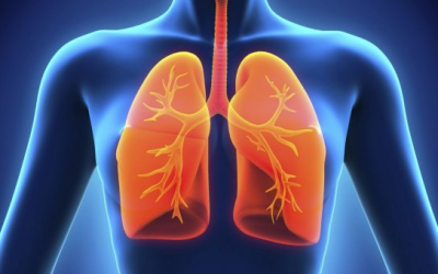 Soin collectif « Les poumons »