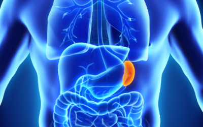 Soin collectif « La rate »