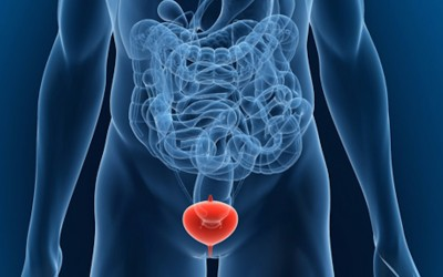 Soin collectif « La vessie »