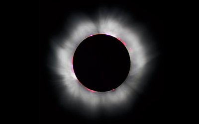 Les paradoxes humains